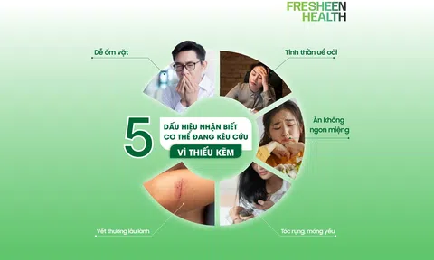 Kẽm không phải cứ bổ sung là tốt: 7 cảnh báo sai lầm người Việt hay mắc